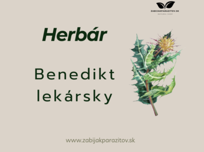 benedilt lekársky